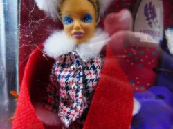 starr dawn pet a